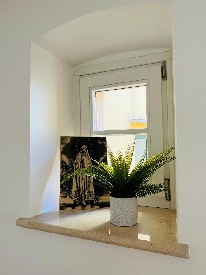 Casa Fonti Unita Daire Trieste Dış mekan fotoğraf